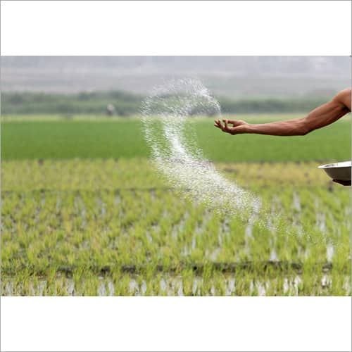 Seed Info Farmer Consultancy Service