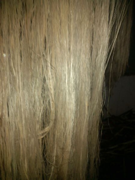 Jute Fiber 03