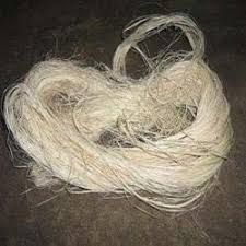 Jute Fiber 04