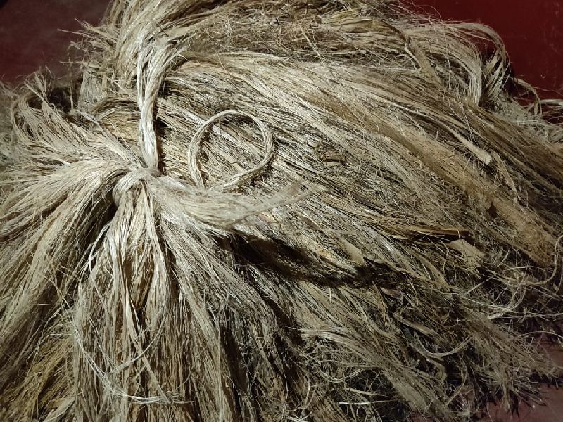 Jute Fiber 09