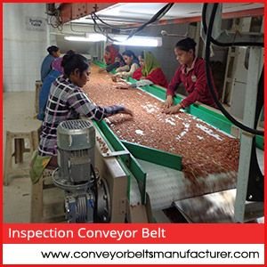 Inspection Conveyor Belt