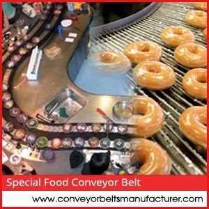 SPECIAL CONVEYOR BELT