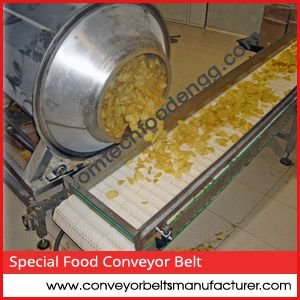 SPECIAL CONVEYOR BELT