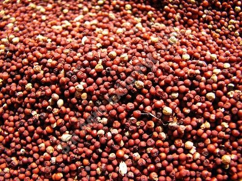 Millet Seeds 01