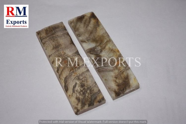 Sheep Horn Scales 02