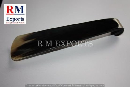 Shoe Horn with Hook