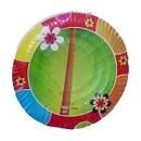 Disposable Paper Plates 08