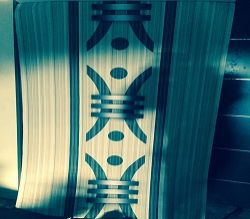 PVC Laminated Wooden Door 04