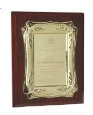 Corporate Trophies 05