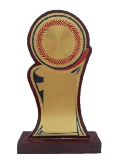 Economic Wooden Trophies 06