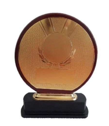 Exclusive Wooden Trophies 03