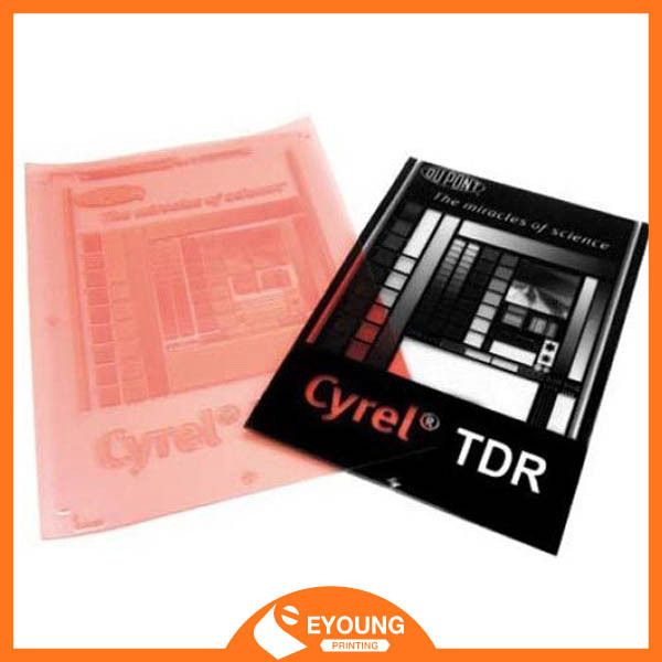 Flexo Photopolymer Stereos 17