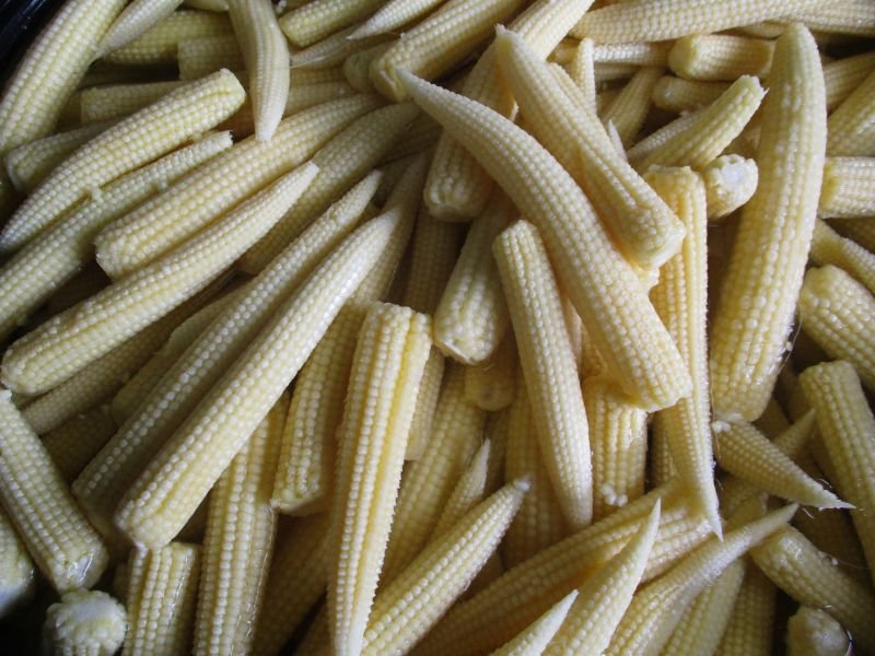 Baby Corn 01