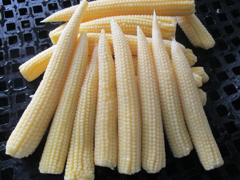 Baby Corn 02