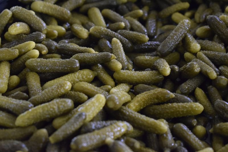 Preserved Gherkins 02