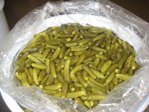 Processed Pickled Cucumber 01
