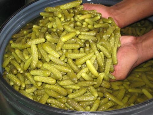 Processed Pickled Cucumber 02