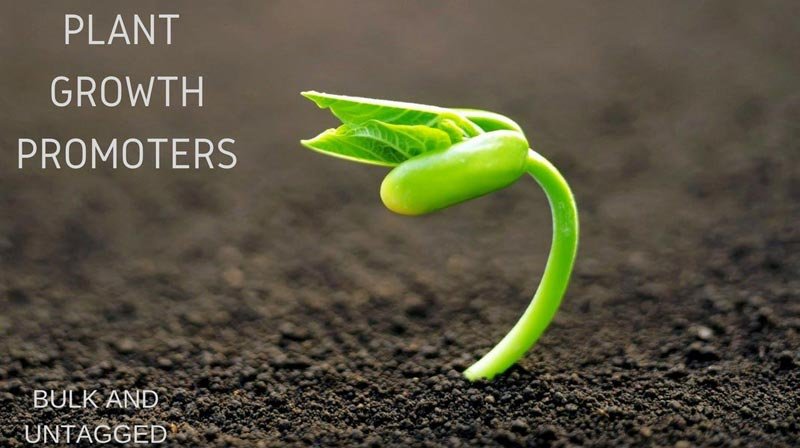 Plant Growth Hormones