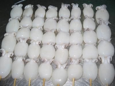 Frozen Cuttlefish 02