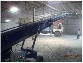 Bag Stacker Conveyor 02