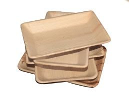 Areca Leaf Rectangle Dish 03