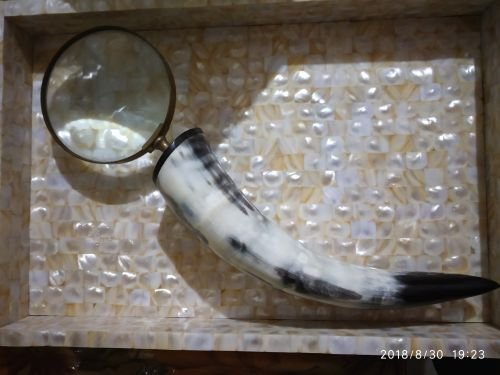 Horn and Born Magnifying Glass 02