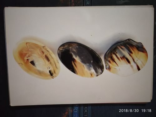 Horn and Born Platter 03