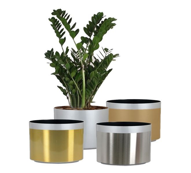 Premiere - Design No. 1002