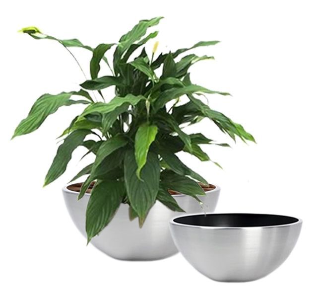 Premiere - Design No. 1003