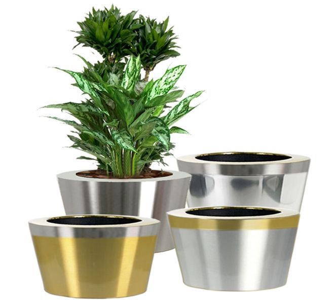 Premiere - Design No. 1004