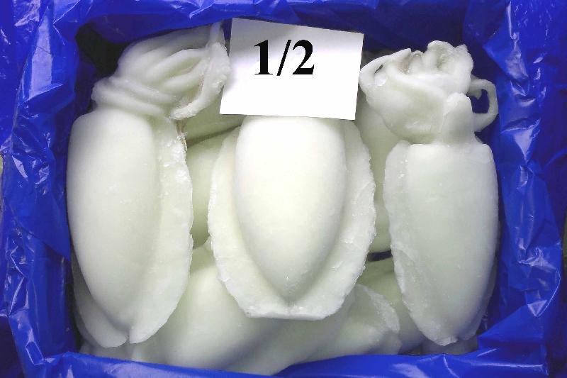 Whole Cleaned Cuttlefish IQF  (Sepia Pharaonis)