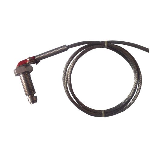 RTD with Spring Loaded Arrangement