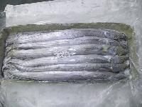 Ribbonfish (Trichiurus Lepturus)