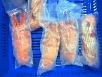 Whole Cooked Lobster