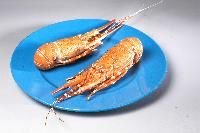 Whole Cooked Rock Lobster