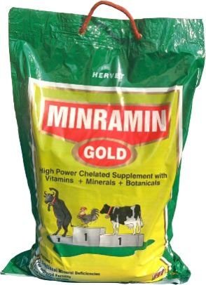 Minramin Gold Powder 02