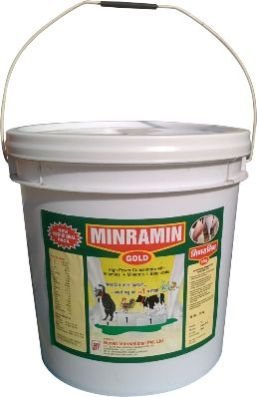 Minramin Gold Powder 03