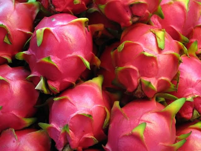 Dragon fruit 02