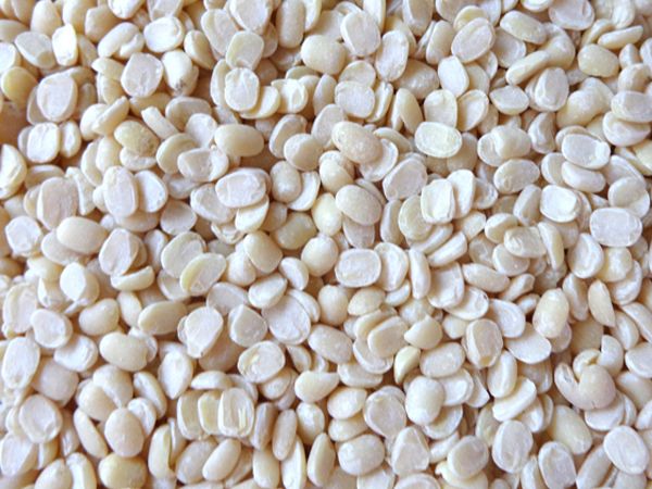 Split Black Gram without Skin