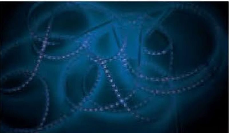 SL13B LED Strip Lights