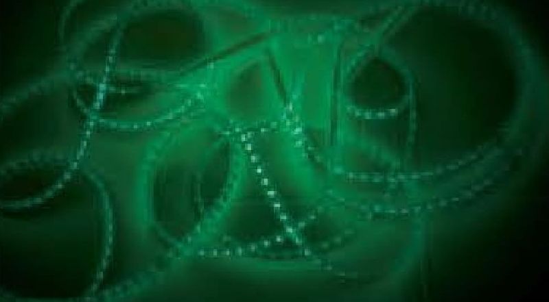 SL13G LED Strip Lights