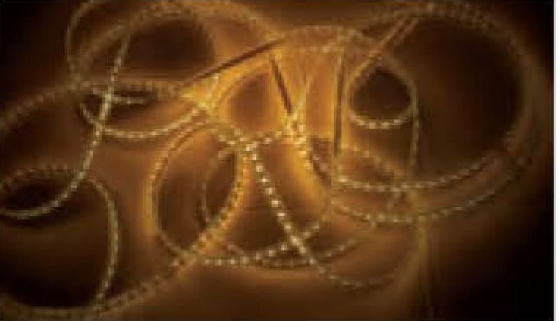 SL13WWW LED Strip Lights