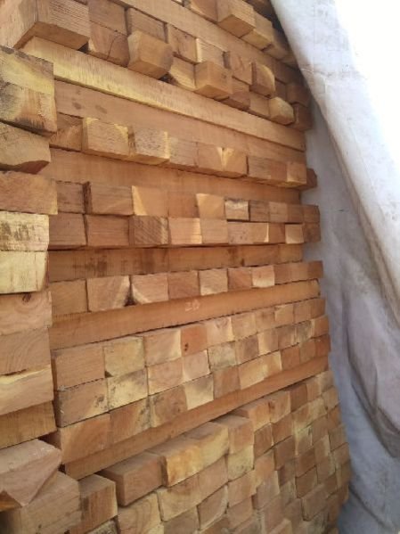 Cut Size Neem Wood 06