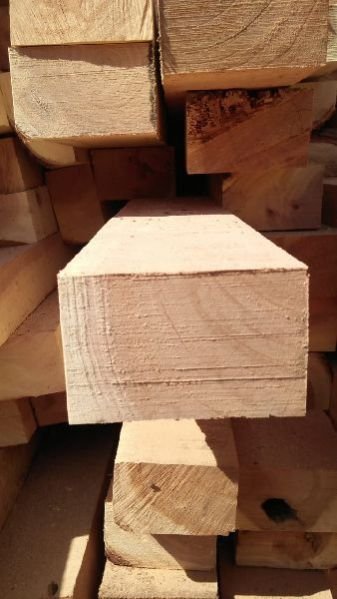 Cut Size Neem Wood 08