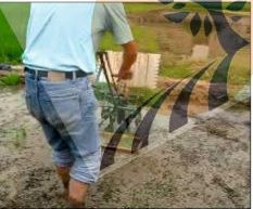 Manual Rice Transplanter 05