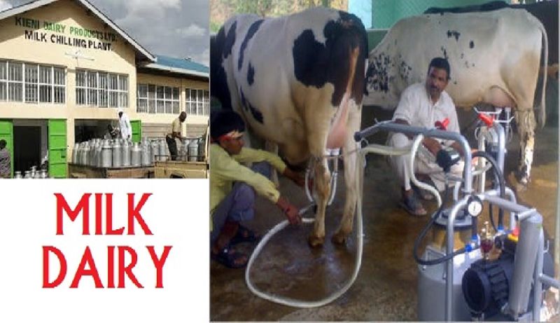 Milky Milk Dairy ERP Software 03