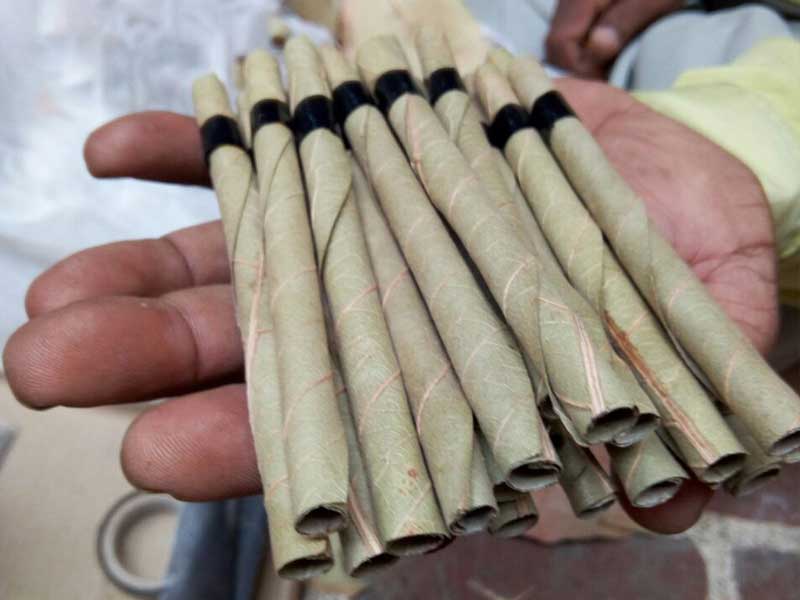 Watermelon Flavour Blunts Rolls 02