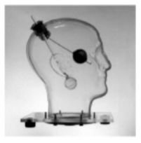 LIQUI‐PHIL PHANTOMS