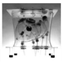 LIQUI‐PHIL PHANTOMS