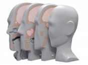 Proton Therapy Dosimetry Head ‐ Tissue Equivalent